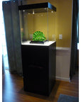 Black Laminate Modern Display Case – Pedestal Source