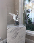 Clear Acrylic Cover (no base) – Pedestal Source