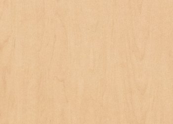 Maple Wood Veneer