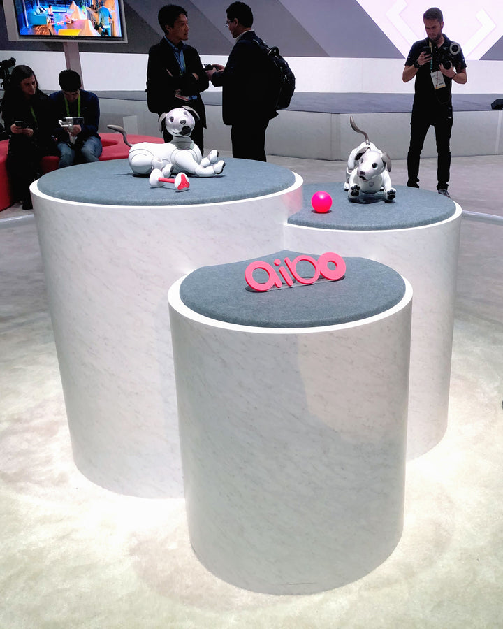 Sony's Aibo booth at CES featuring their newest generation of robotic dogs